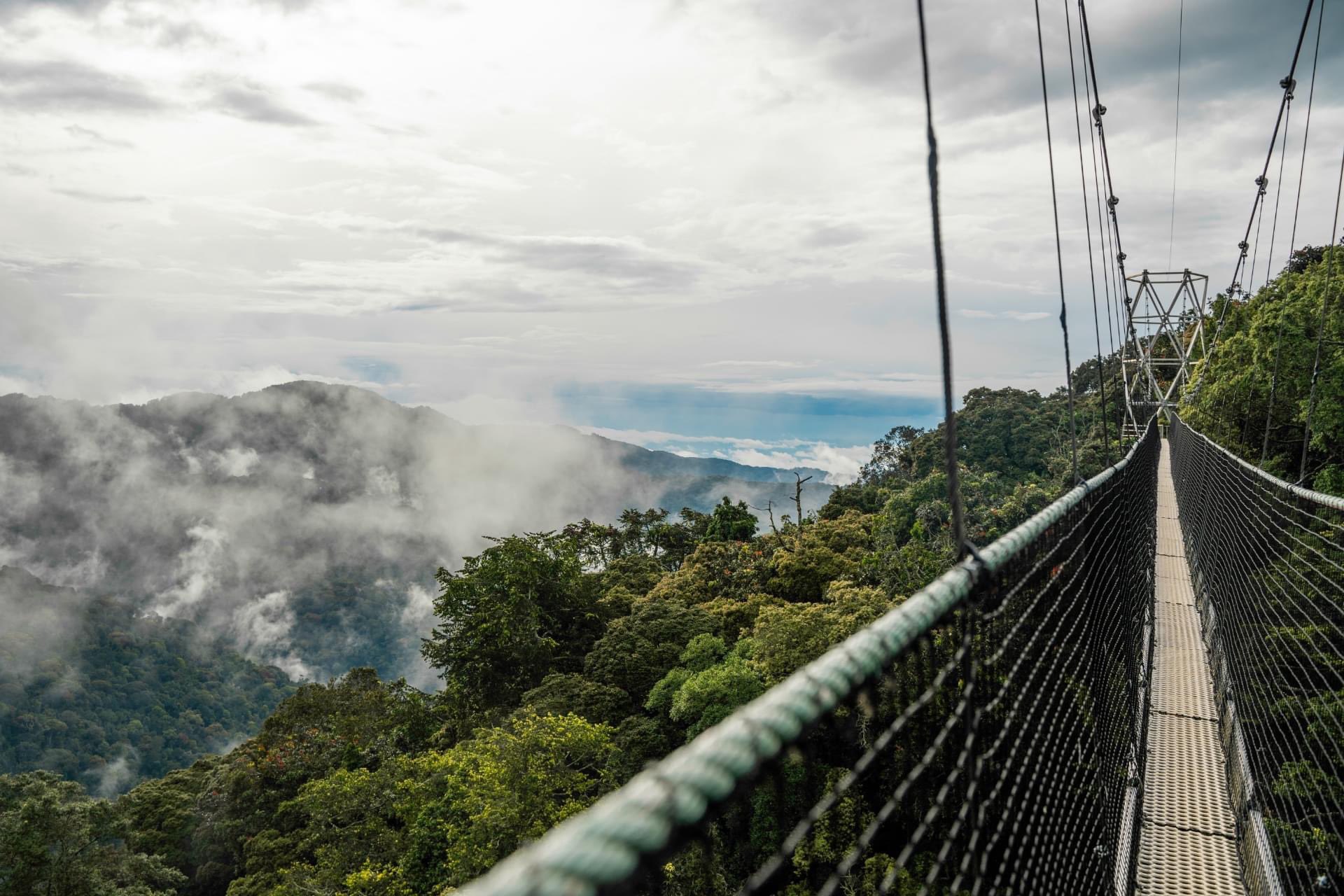 Nyungwe Forest National Park