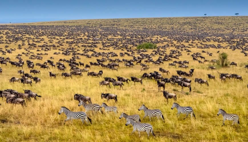 Serengeti National Park